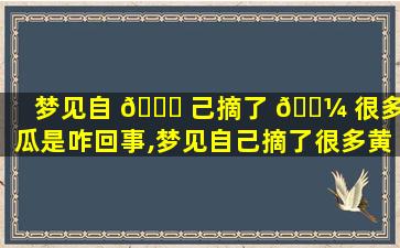 梦见自 🍁 己摘了 🌼 很多黄瓜是咋回事,梦见自己摘了很多黄瓜是咋回事啊